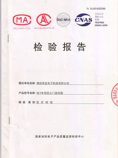 檢驗(yàn)報告
